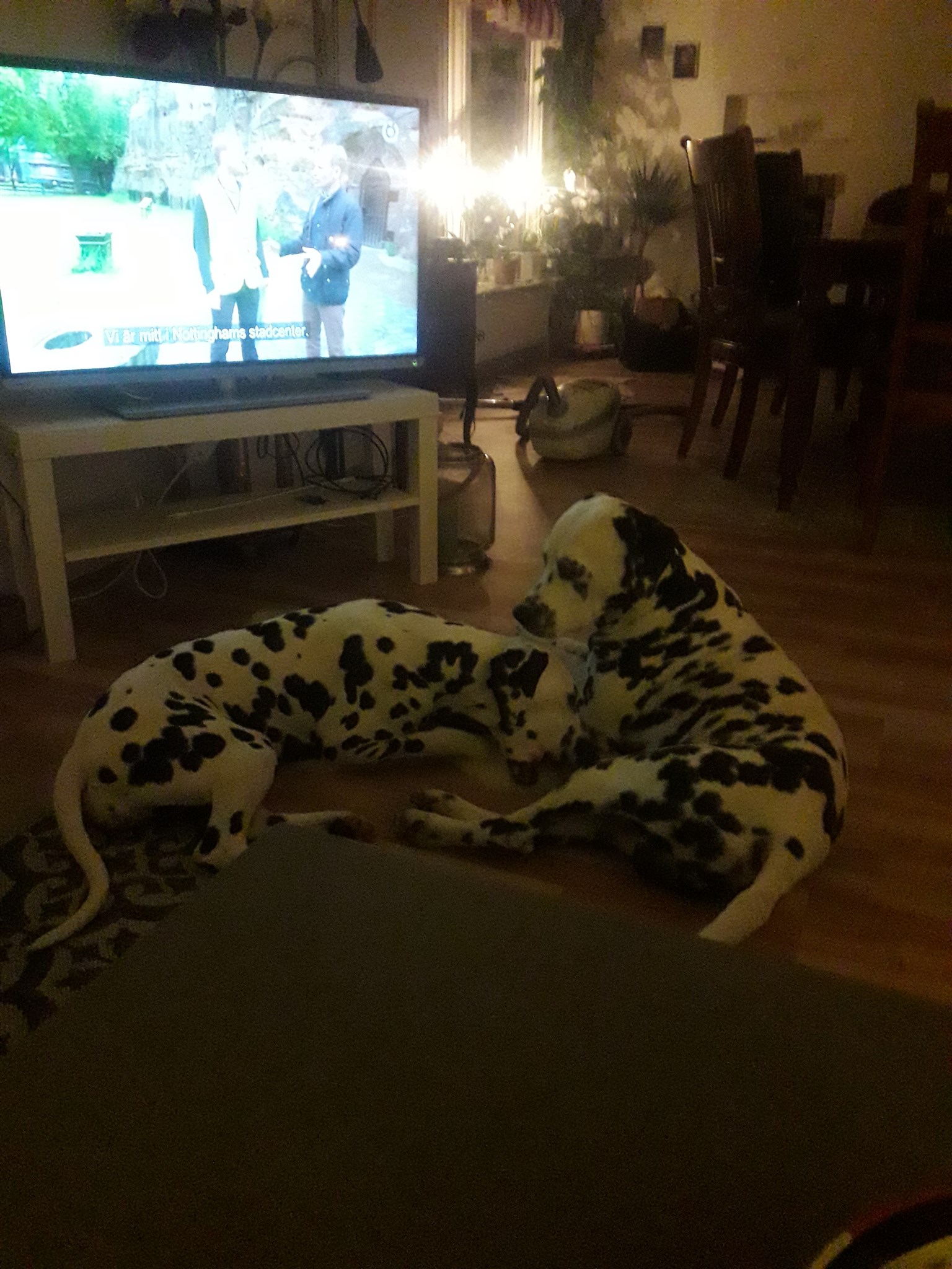 20181227_195049.jpg
