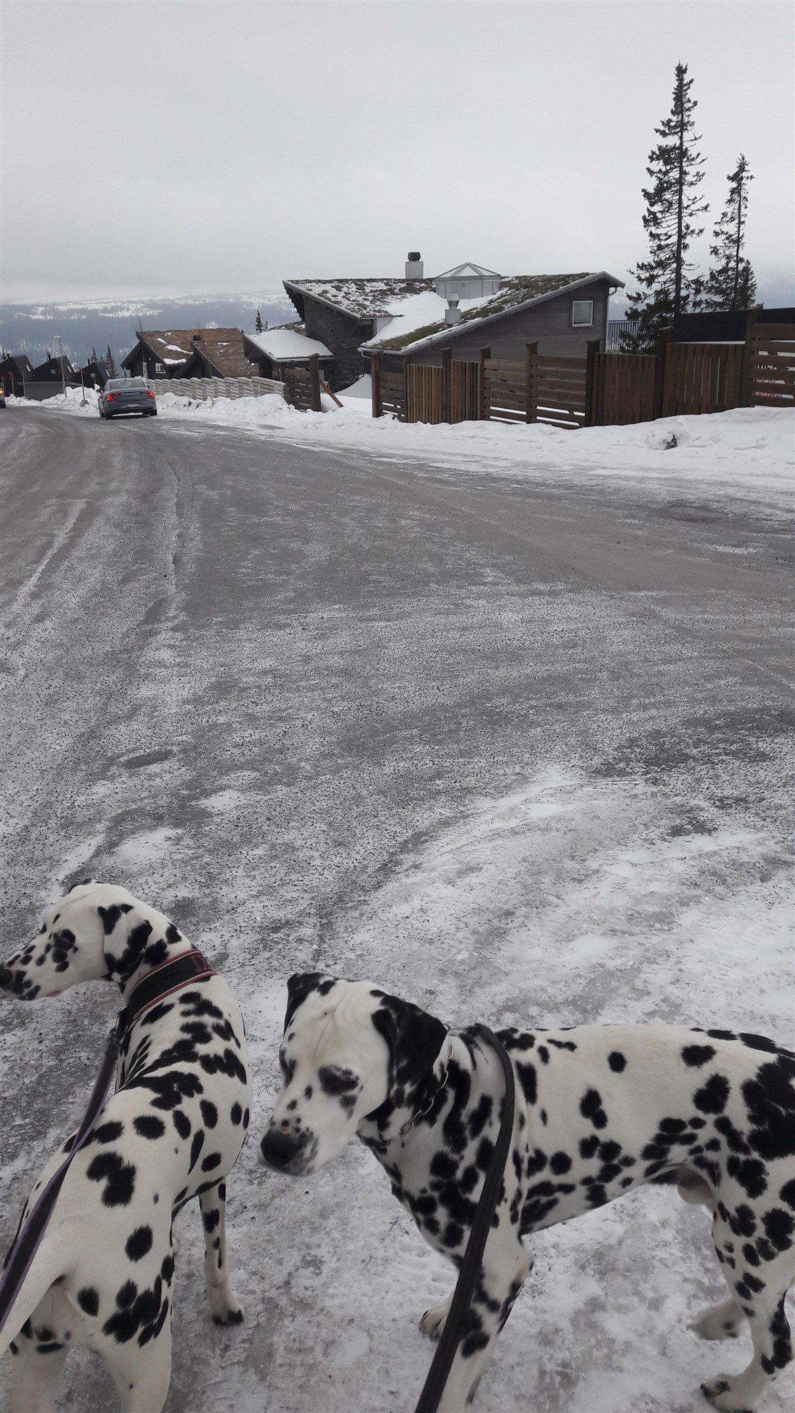 20190407_091412.jpg