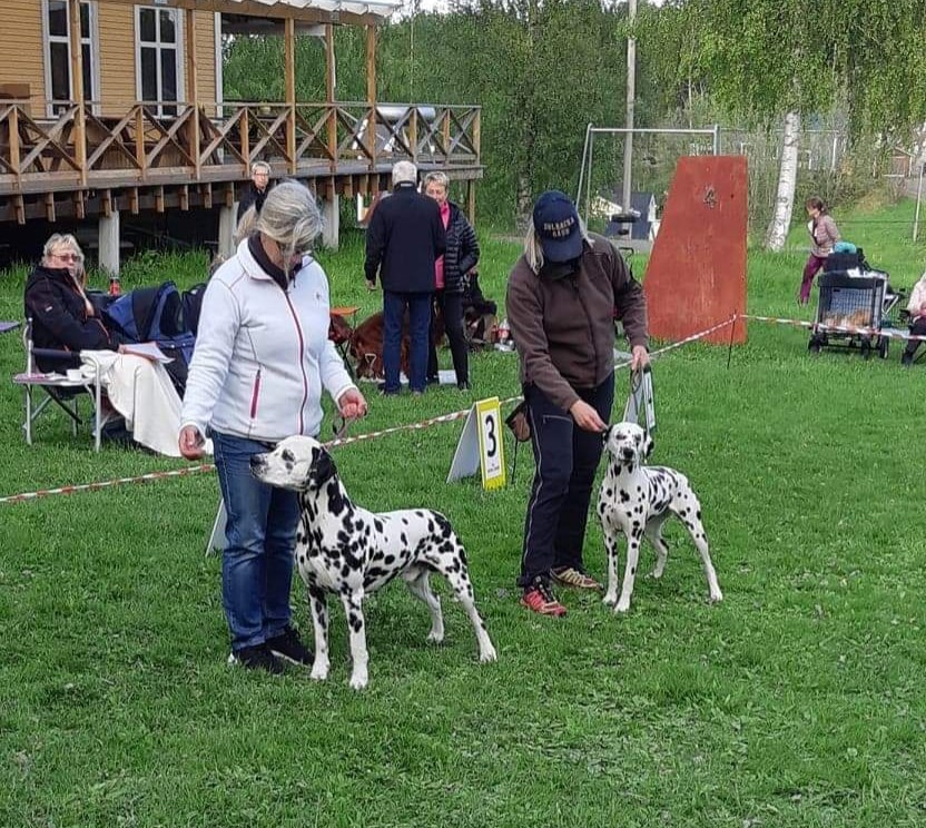 20190528_200615.jpg