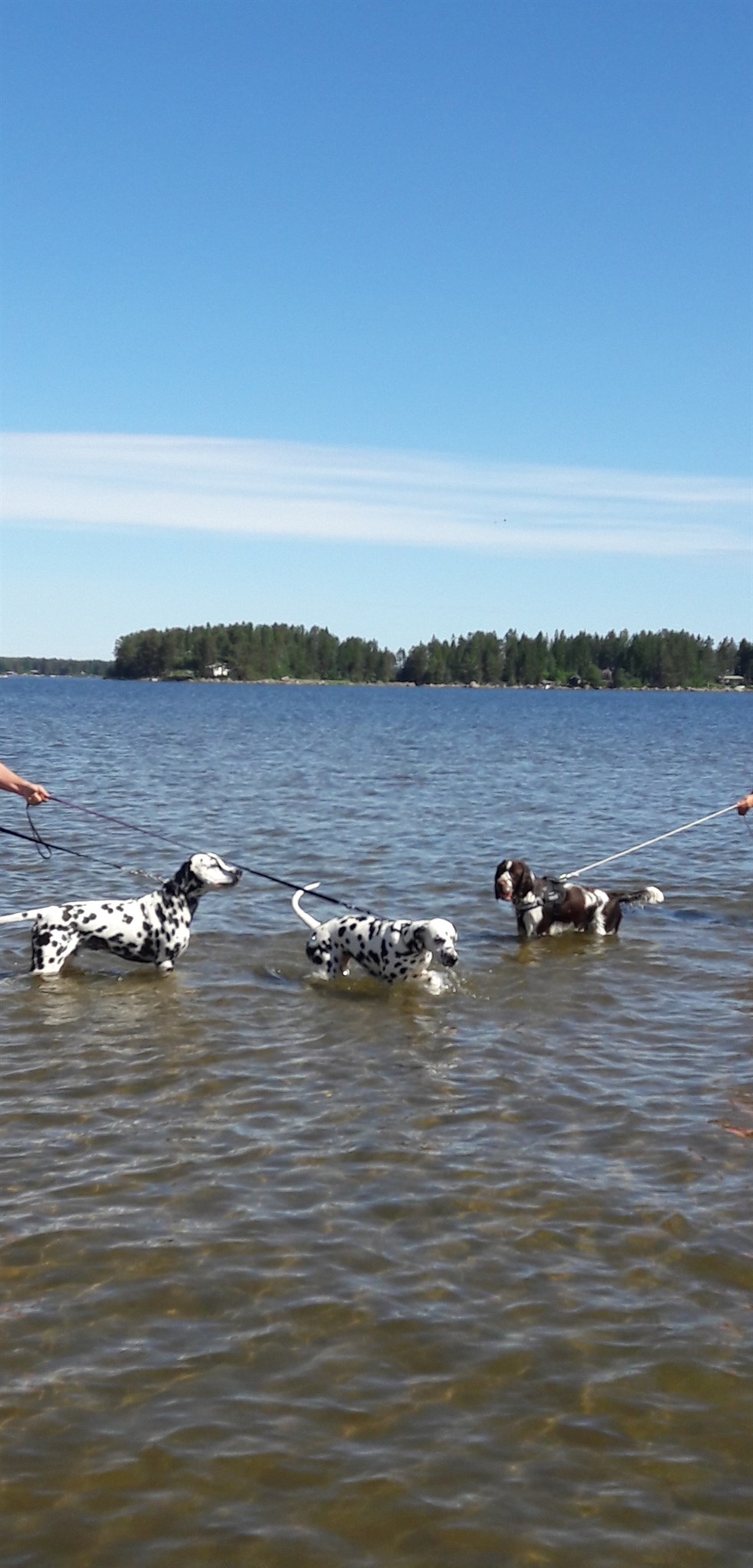 20190623_145338.jpg