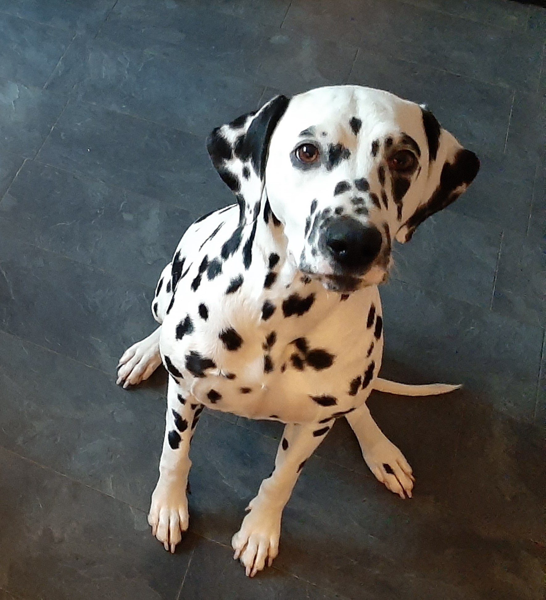 20200223_080811.jpg