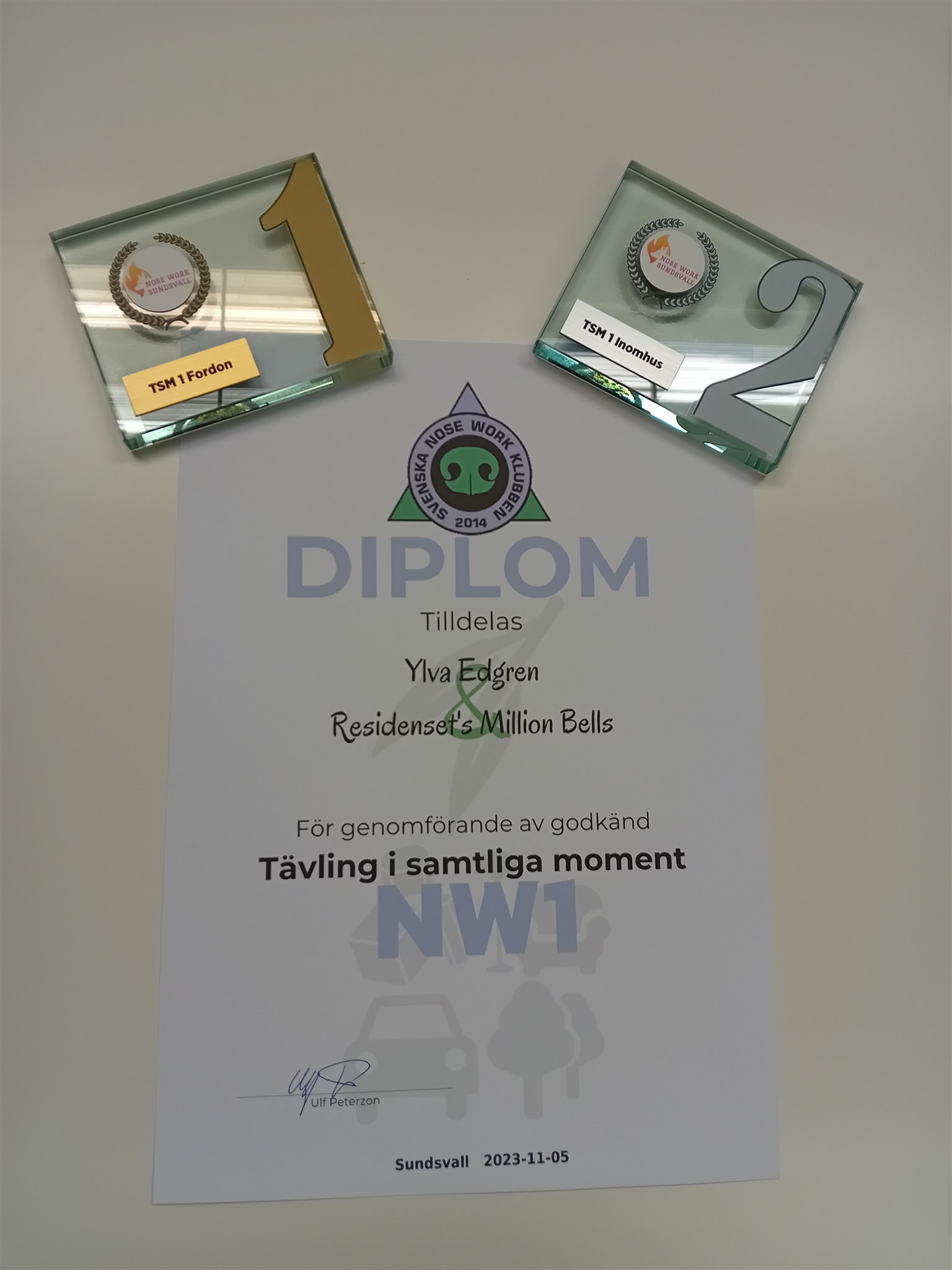 20231105_141101.jpg