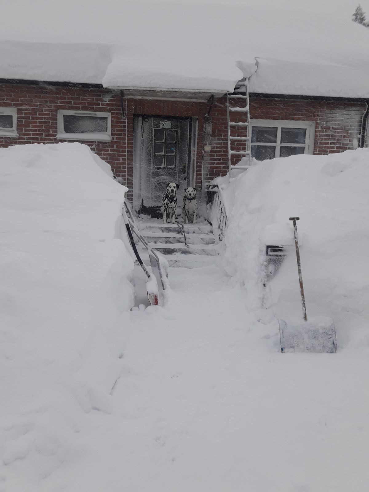 IMG-20180218-WA0000.jpg