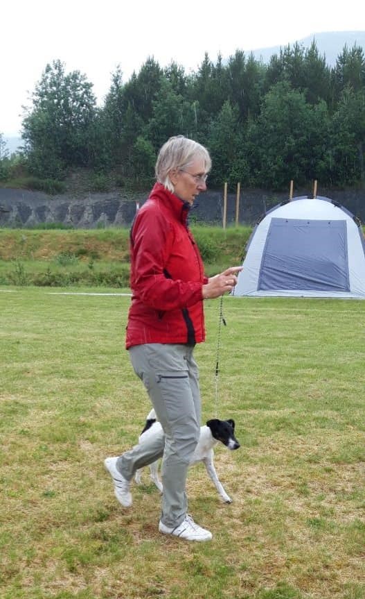 Oppdal 1.jpg