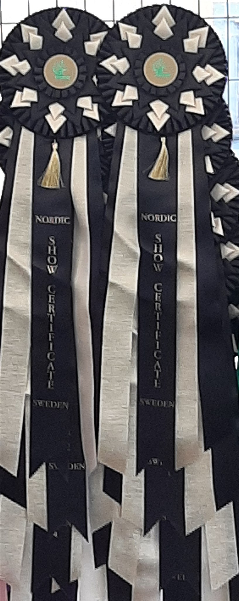 Vns 4.jpg