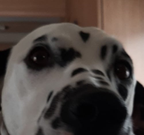 högbo1.jpg