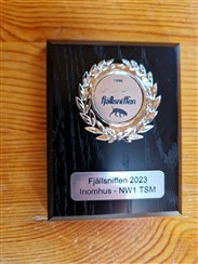 2a i Inomus TSM 1